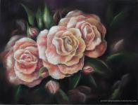 roses pastel sec laure-anne