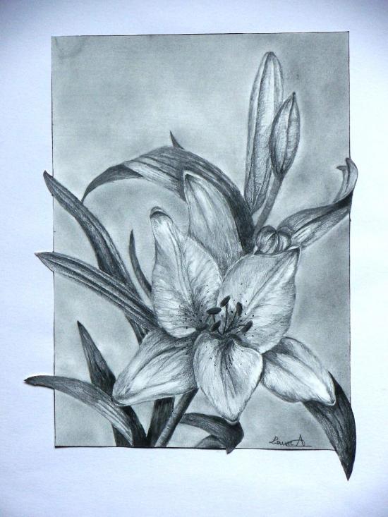 cartes au crayon de papier