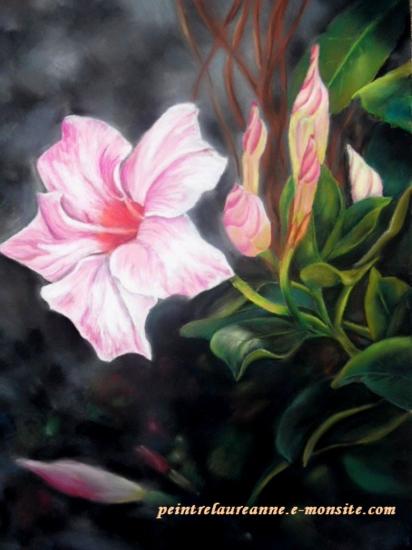 dessin au pastel de fleur dipladenia