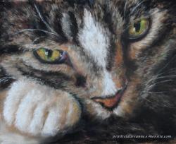 chat aux yeux verts au pastel sec Laure-Anne