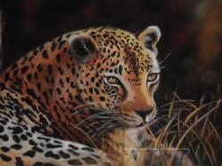 leopard au pastel sec animaux sauvages félins