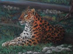 dessin leopard pastel sec