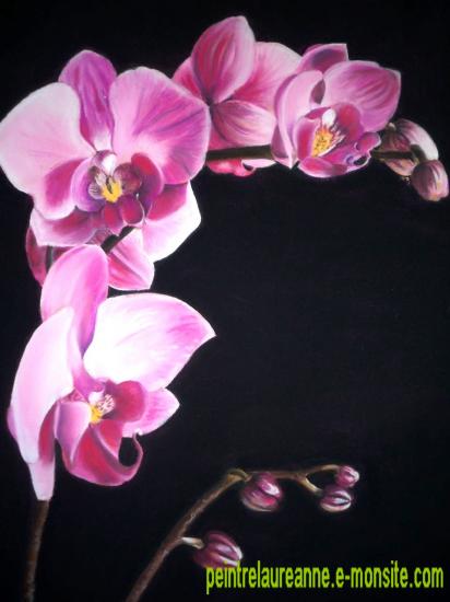 dessin au pastel de fleur orchidée